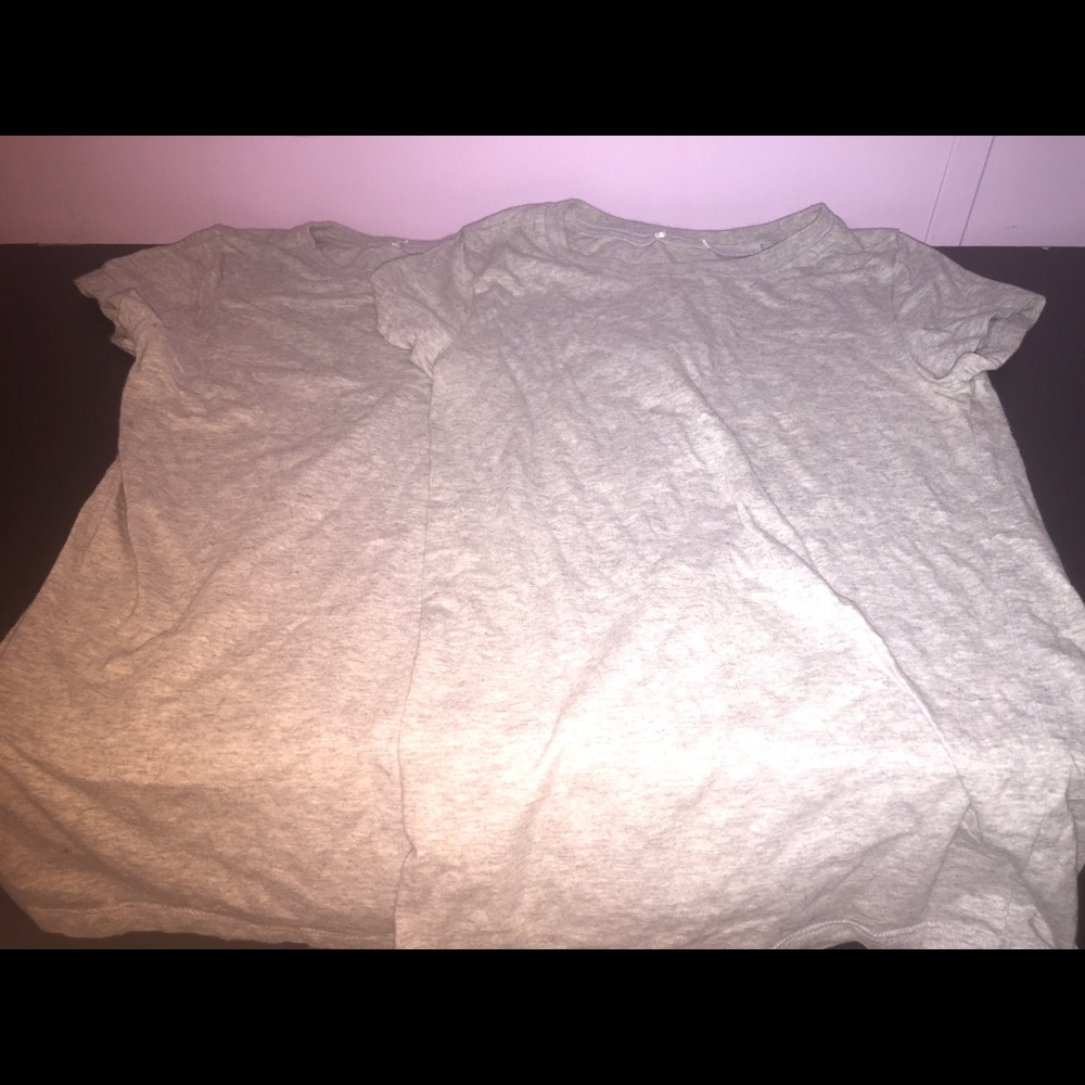 Two Light Gray Fitted Tees